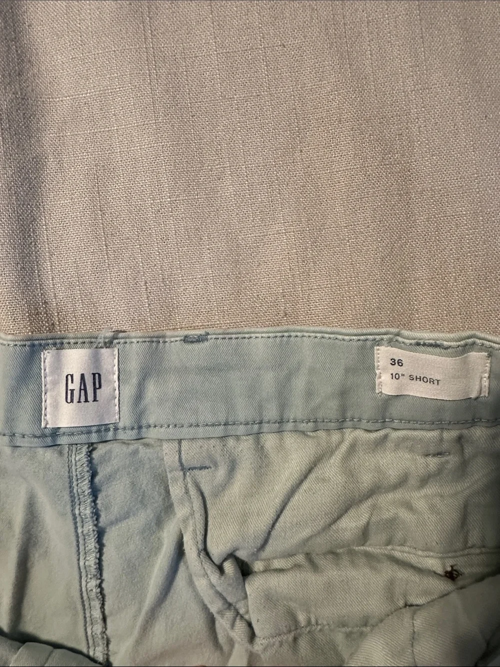 GAP Men's Pale Blue Flat Front Chino Shorts
